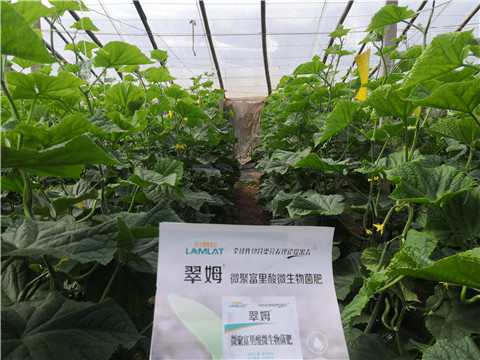 微生物菌劑，拉姆拉