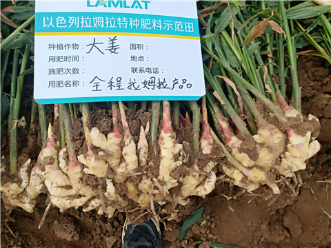 水溶肥，微生物菌劑，拉姆拉