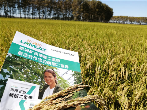 葉面肥，磷酸二氫鉀，安碧解