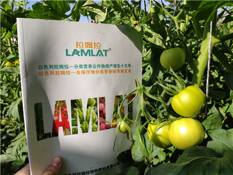 微生物菌劑，拉姆拉，伯示麥