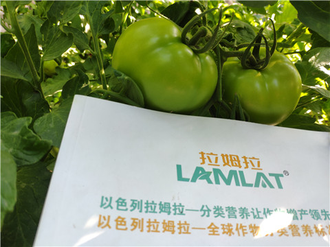 微生物菌劑，拉姆拉，伯示麥