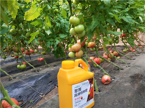 水溶肥，磷酸二氫鉀