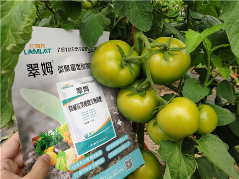 葉面肥，微生物菌劑，磷酸二氫鉀