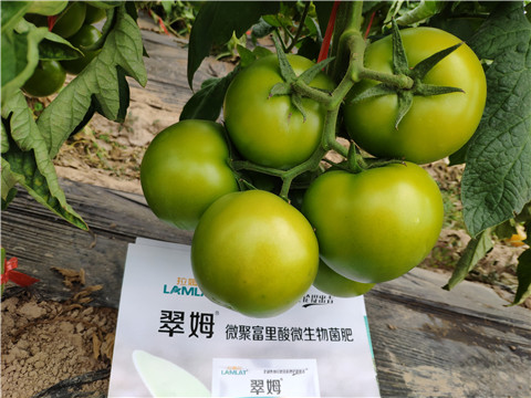 葉面肥，微生物菌劑，磷酸二氫鉀