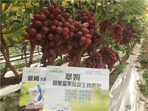 微生物菌劑，硼肥，鈣肥