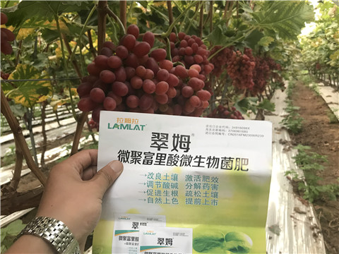 微生物菌劑，硼肥，鈣肥