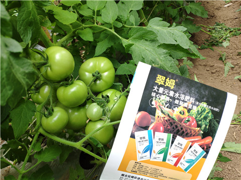 水溶肥，磷酸二氫鉀