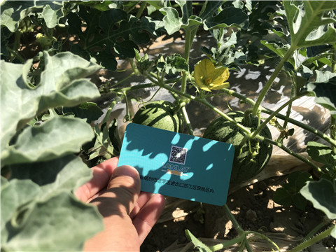 微生物菌劑，磷酸二氫鉀