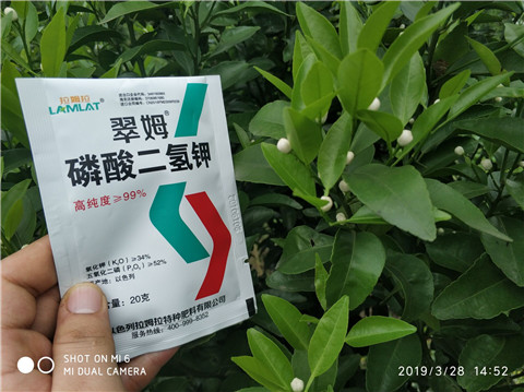 磷酸二氫鉀，硼肥，拉姆拉