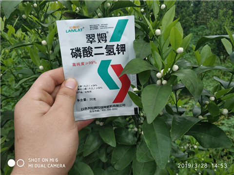 磷酸二氫鉀，硼肥，拉姆拉