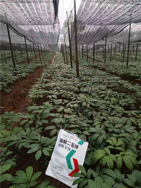 磷酸二氫鉀，安碧解，