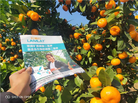 磷酸二氫鉀，硼肥，拉姆拉