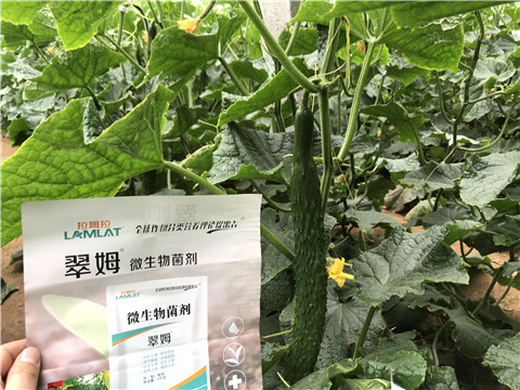 微生物菌劑，水溶肥，拉姆拉