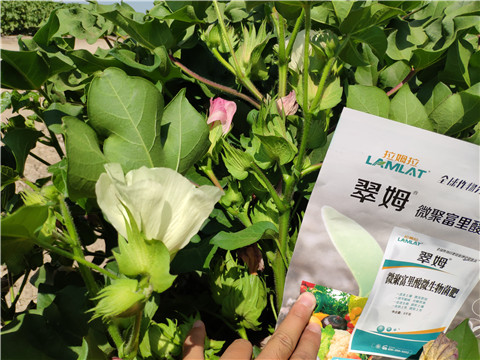 微生物菌劑，拉姆拉