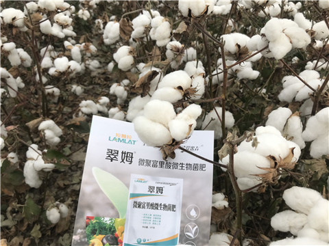 微生物菌劑，根碧多，拉姆拉