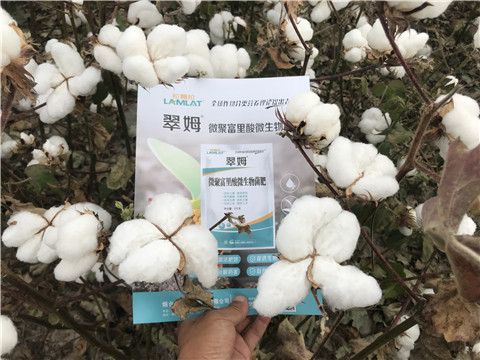 微生物菌劑，根碧多，拉姆拉