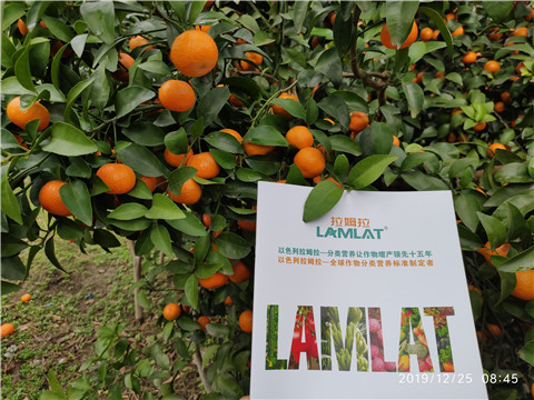 硼肥，拉姆拉