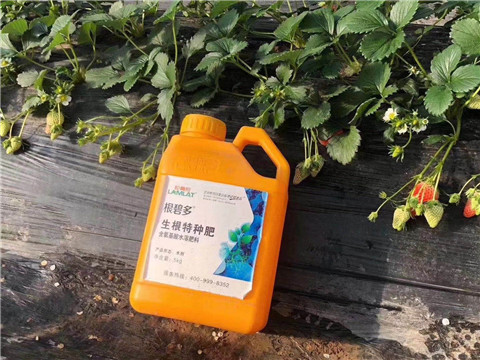 根碧多，微生物菌劑，拉姆拉