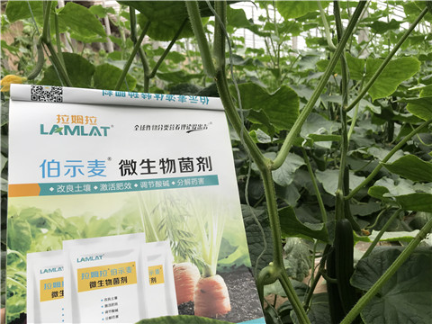 微生物菌劑，生根劑，拉姆拉