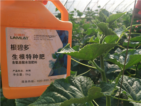 根碧多，磷酸二氫鉀，拉姆拉