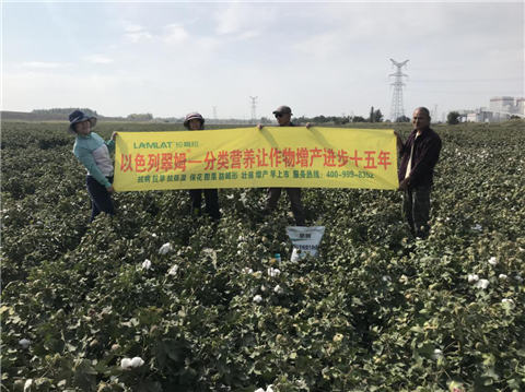 葉面肥，拉姆拉