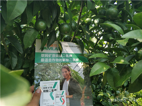 磷酸二氫鉀，拉姆拉