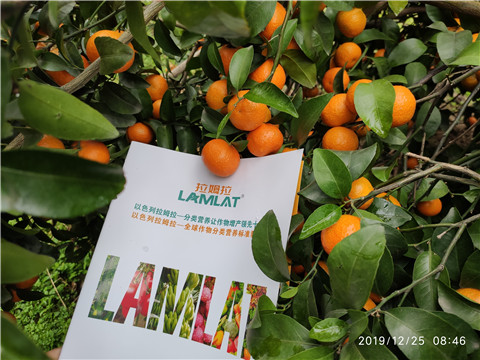 大量元素水溶肥，拉姆拉