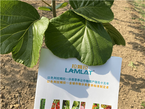 大量元素水溶肥，拉姆拉