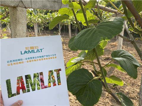 大量元素水溶肥，拉姆拉