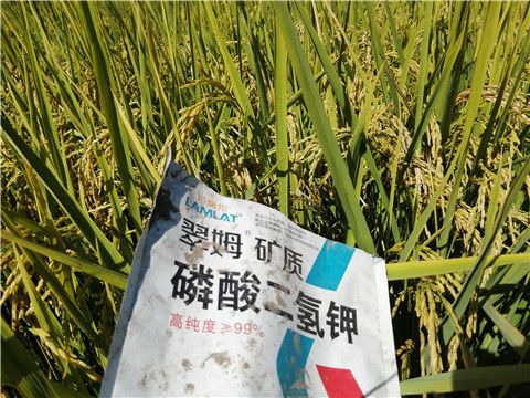 磷酸二氫鉀，翠姆，拉姆拉