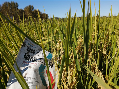 磷酸二氫鉀，翠姆，拉姆拉