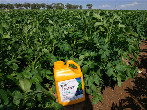 水溶肥，翠姆，拉姆拉