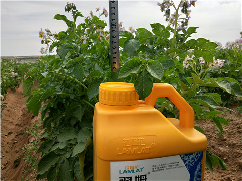 水溶肥，翠姆，拉姆拉