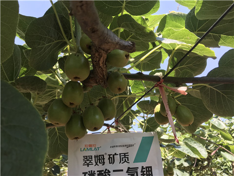 磷酸二氫鉀，拉姆拉