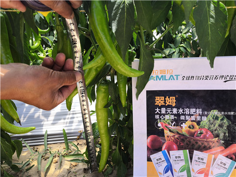 復(fù)合肥料，拉姆拉