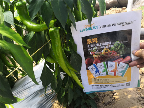 復(fù)合肥料，拉姆拉