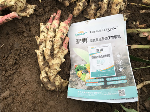 微生物菌劑，翠姆，拉姆拉