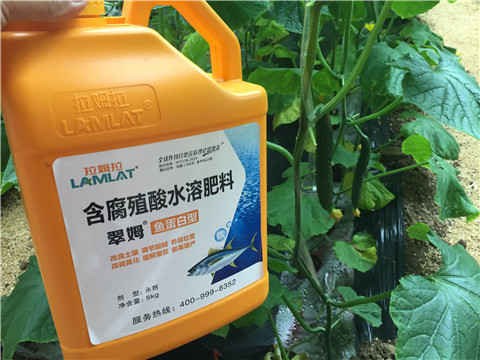 生根劑，魚蛋白水溶肥，拉姆拉