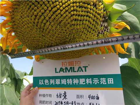 水溶肥，微生物菌劑，拉姆拉