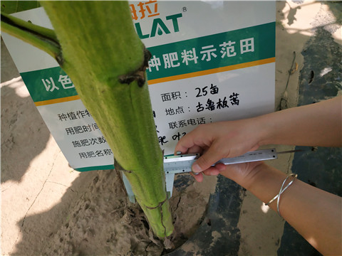 水溶肥，微生物菌劑，拉姆拉