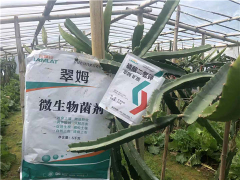 磷酸二氫鉀，翠姆，拉姆拉