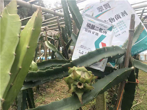 磷酸二氫鉀，翠姆，拉姆拉