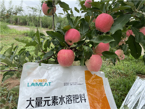 水溶肥，翠姆，拉姆拉