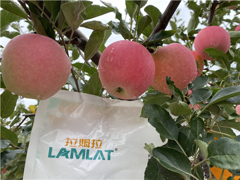 水溶肥，翠姆，拉姆拉