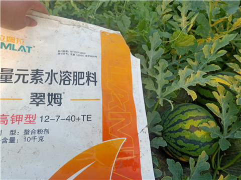 水溶肥，拉姆拉，翠姆