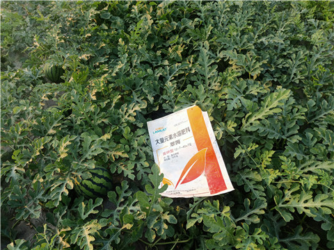 水溶肥，拉姆拉，翠姆