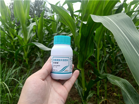 安碧解，拉姆拉