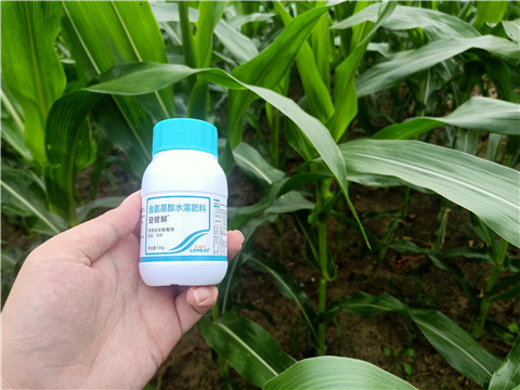 安碧解，拉姆拉