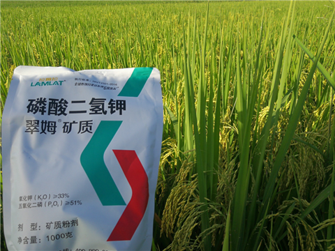 葉面肥，水稻灌漿肥，拉姆拉