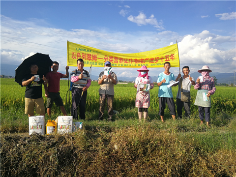 葉面肥，水稻灌漿肥，拉姆拉